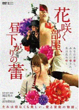 编辑私藏 悬疑条目封面